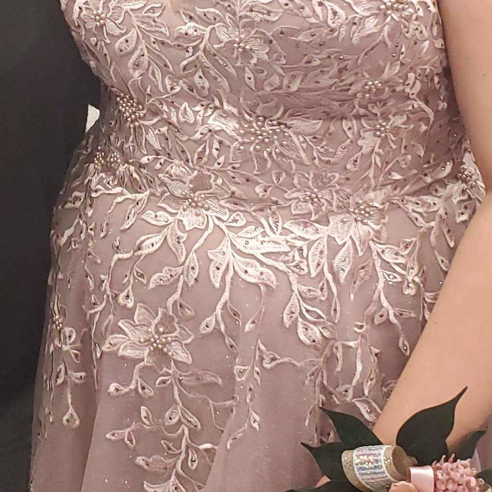 Prom/Pageant Dress - Picture 7 of 9